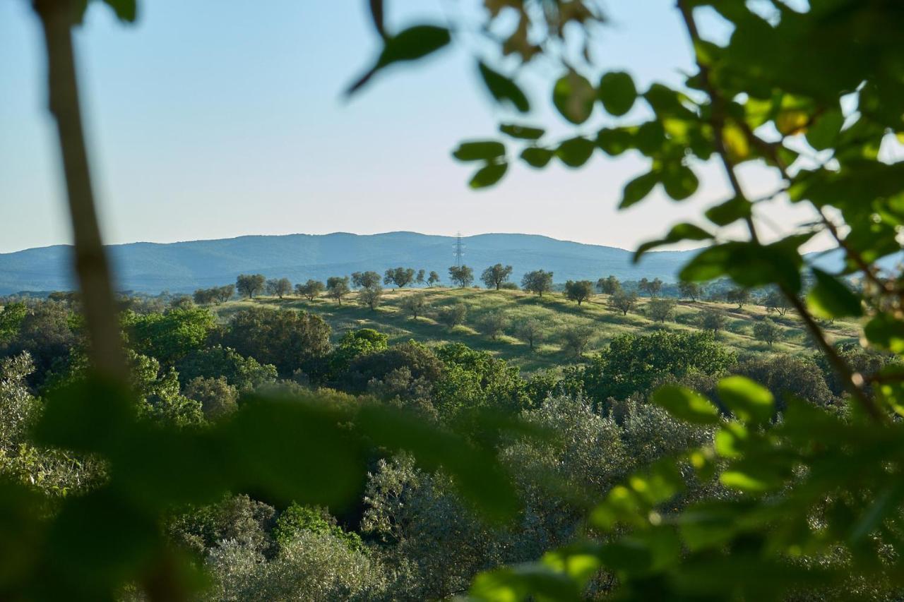Agriturismo Tesorino Massa Marittima Exterior photo